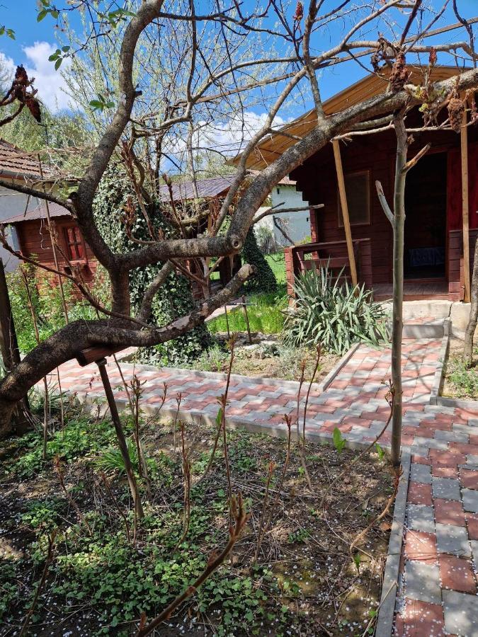 Отель Casa Jan B. Lorau Экстерьер фото