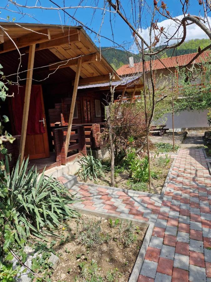 Отель Casa Jan B. Lorau Экстерьер фото
