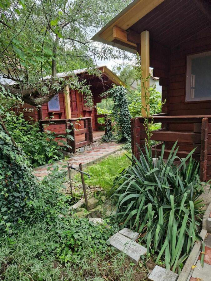 Отель Casa Jan B. Lorau Экстерьер фото